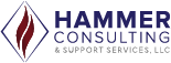 HCSS Logo